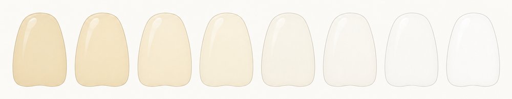 シェードガイド:歯の色の目安を8段階で示した図。左が濃く、右にいくほど白い